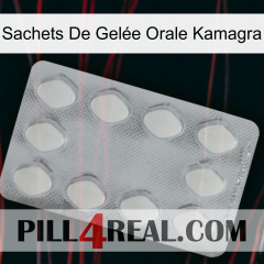Sachets De Gelée Orale Kamagra 16